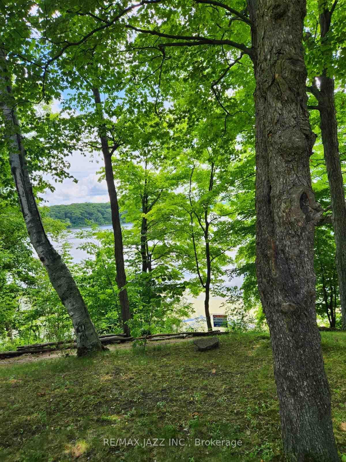 122 Cow Island N/A photo 35