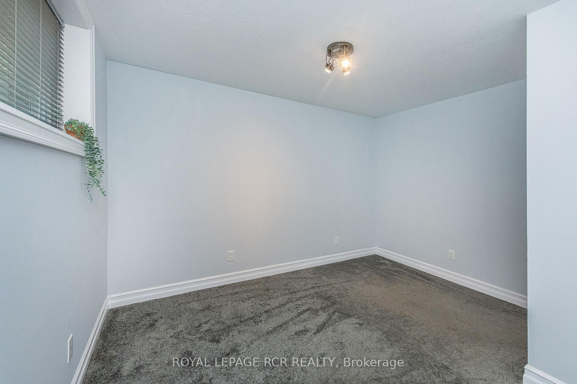 133 Goldgate Crescent photo 50