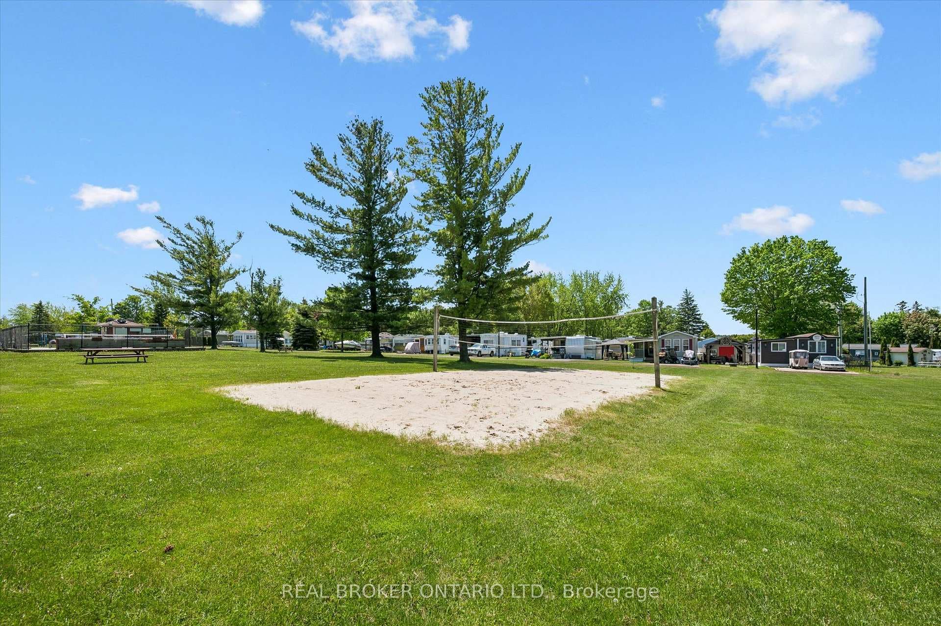 157 Cedar Crescent photo 19