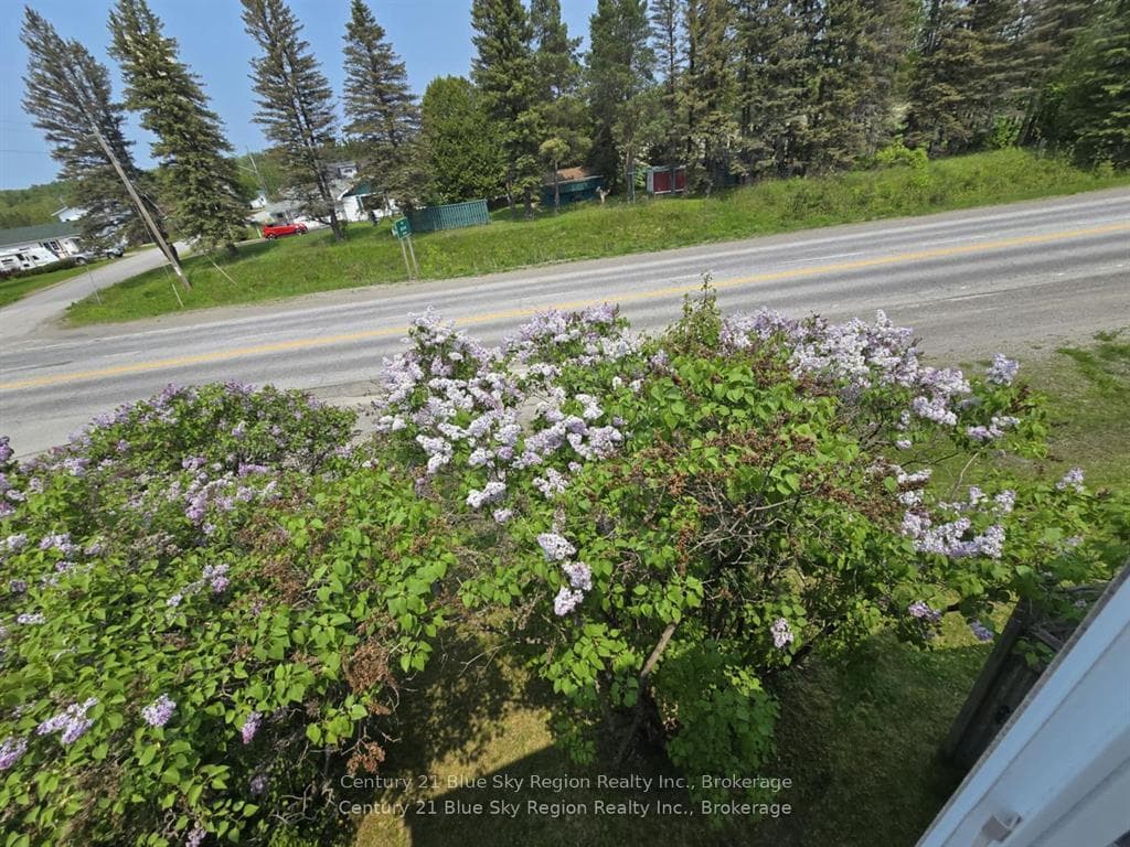22 Dubeau Street photo 42