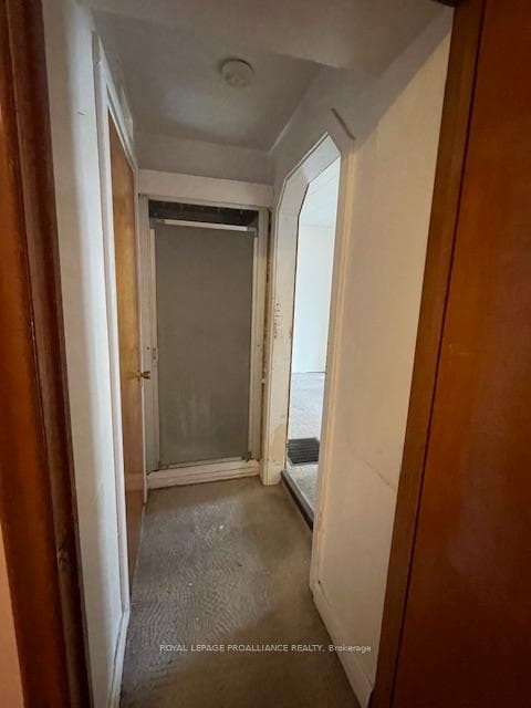 61 Wilkins Street photo 38