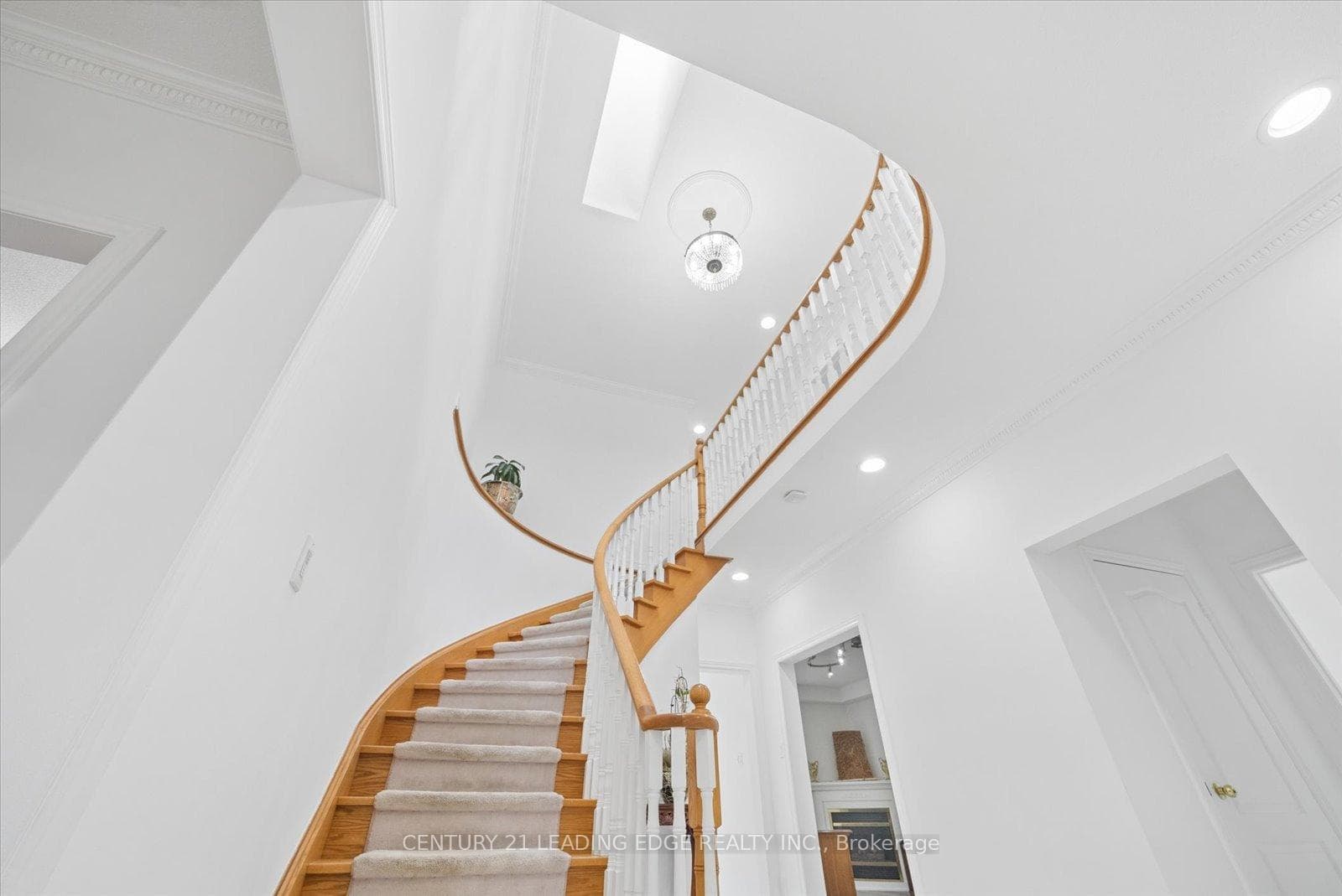 161 Shaftsbury Avenue photo 25