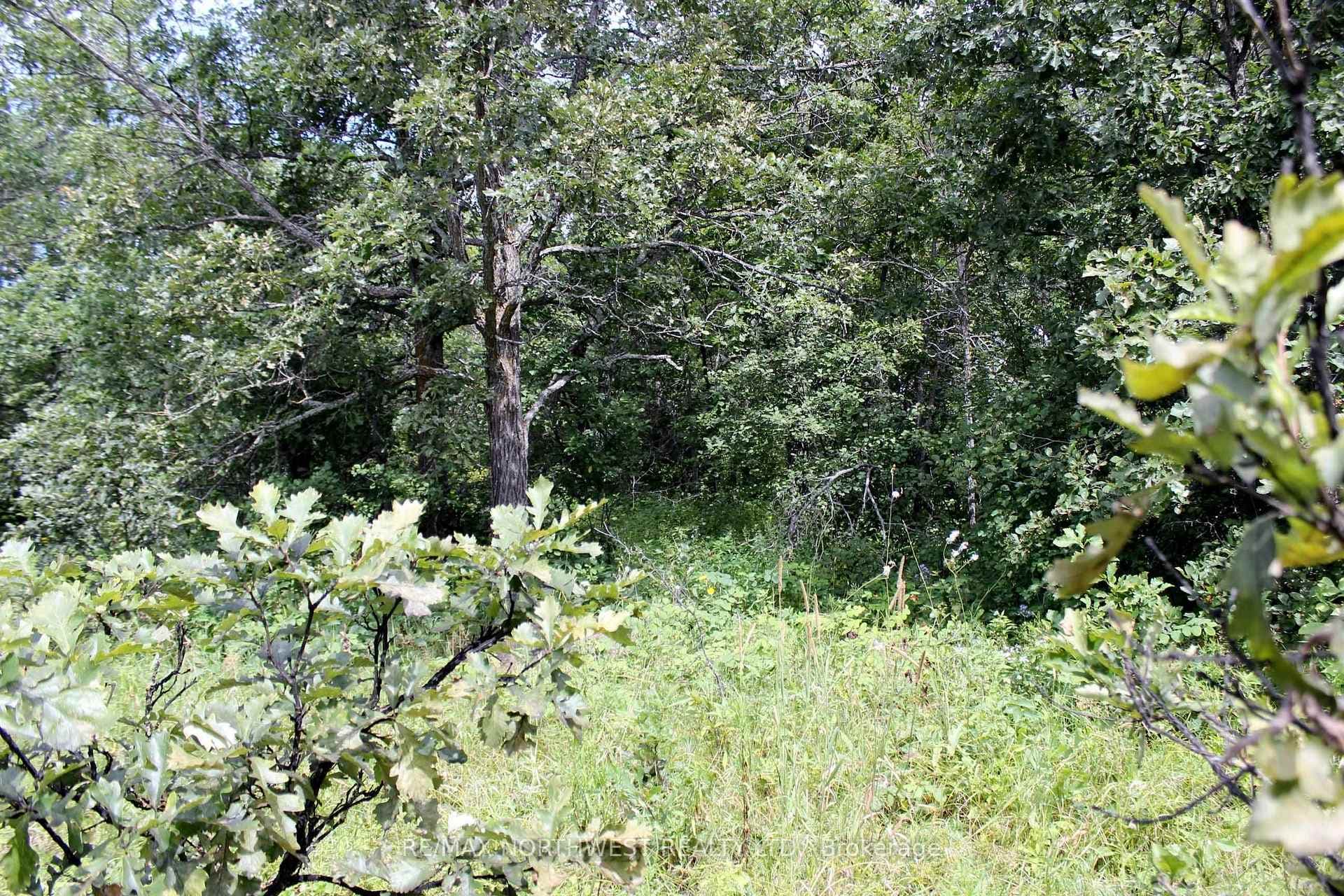 220 MORRISON RD photo 22
