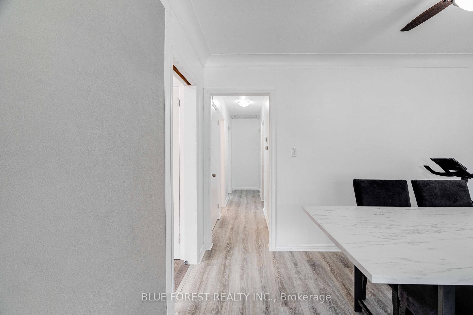 195 Myrtle Street photo 15