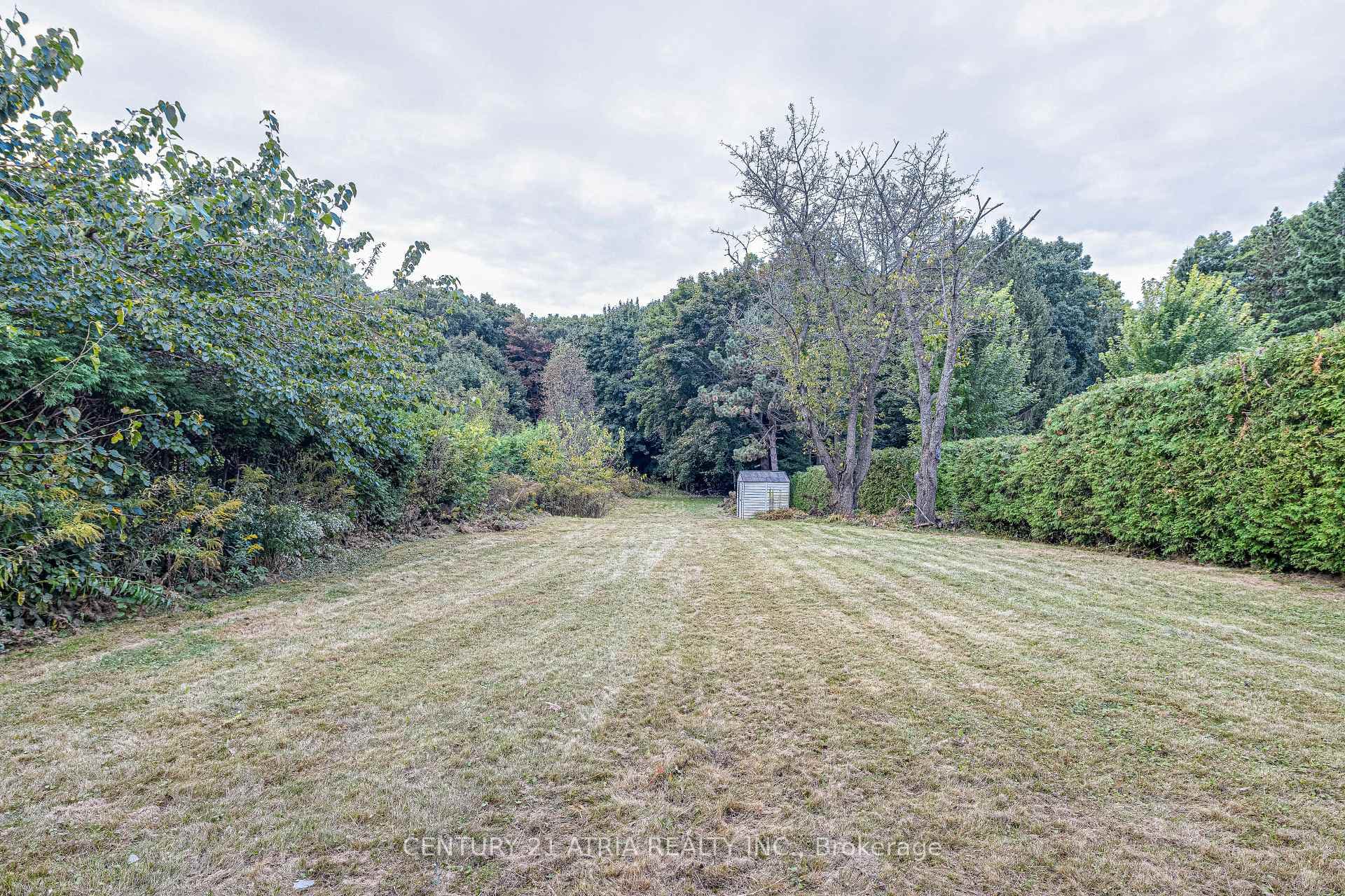 31 Parkview Hill Crescent photo 28