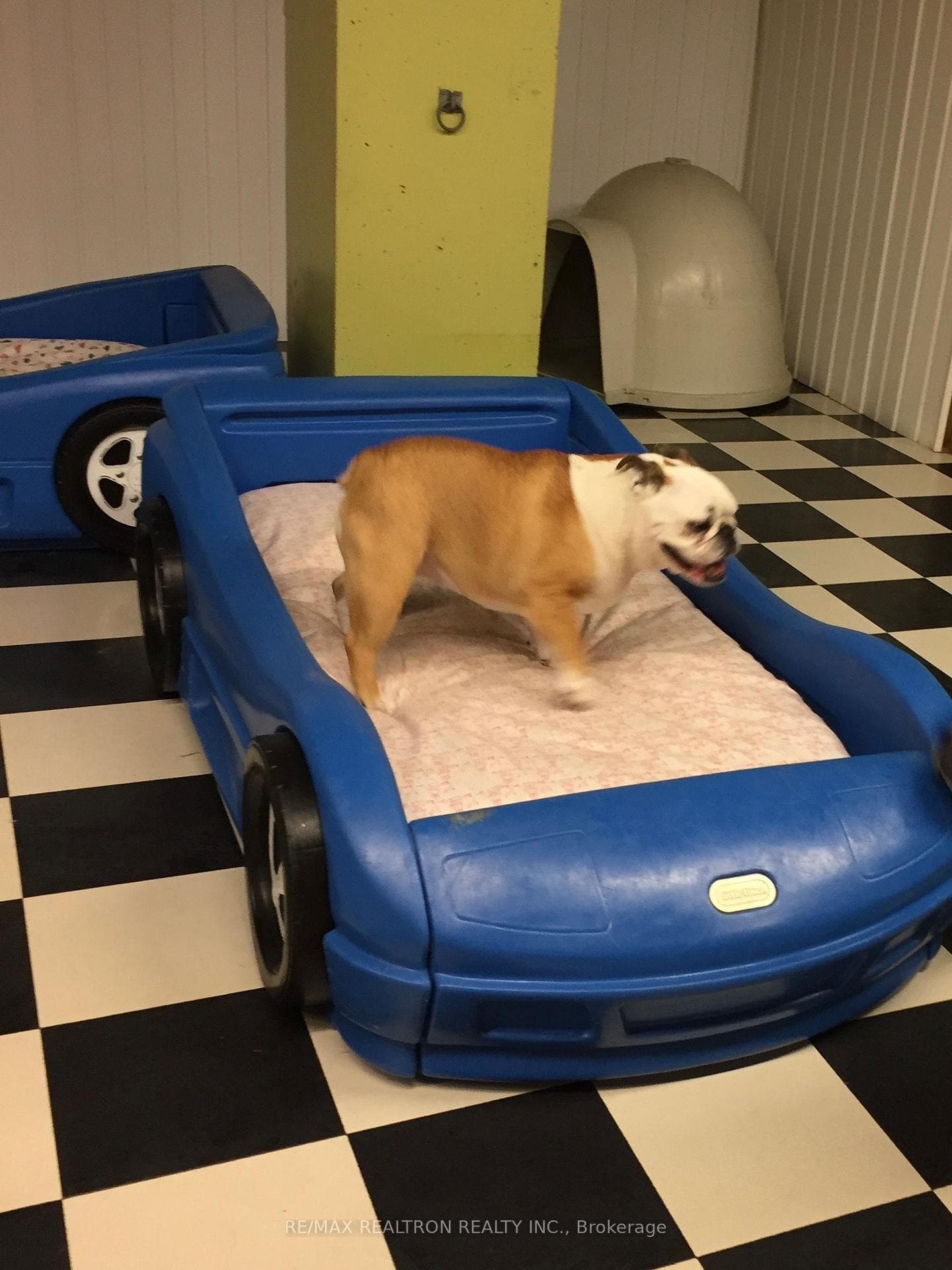 Doggie Airbnb With No Cages (Free Range)