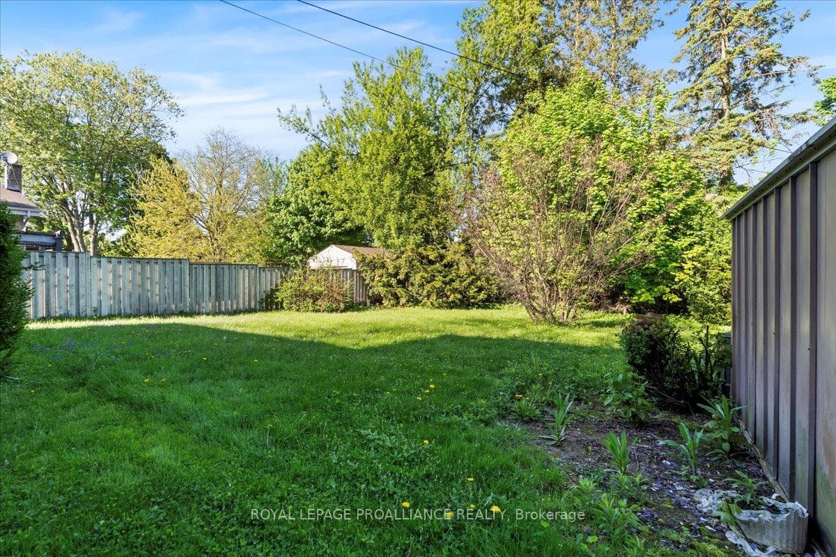 19 Alfred Drive photo 4