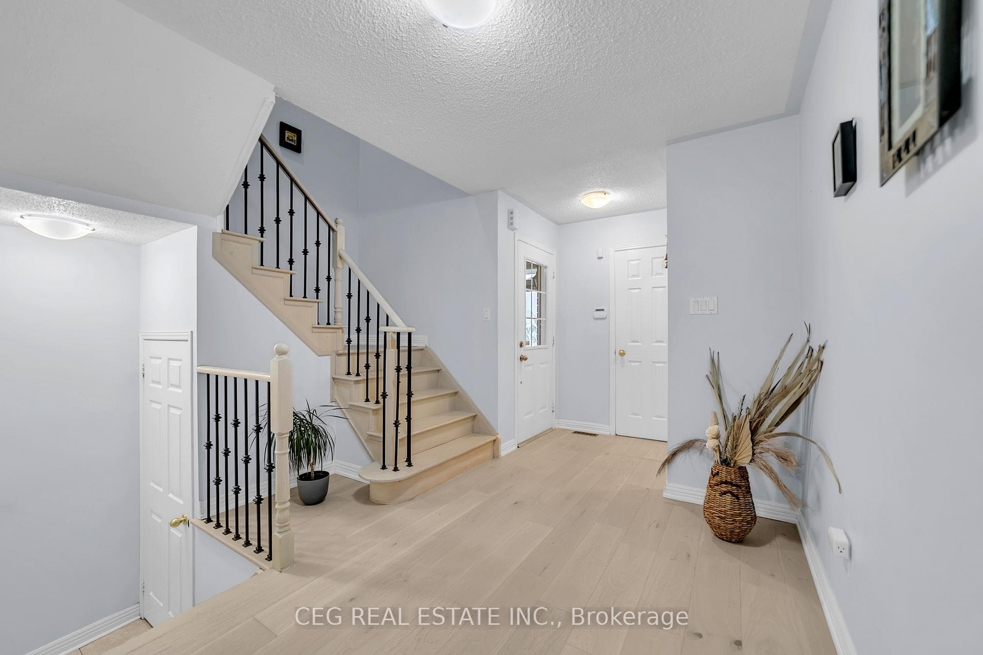 11 Holmwood Street photo 13