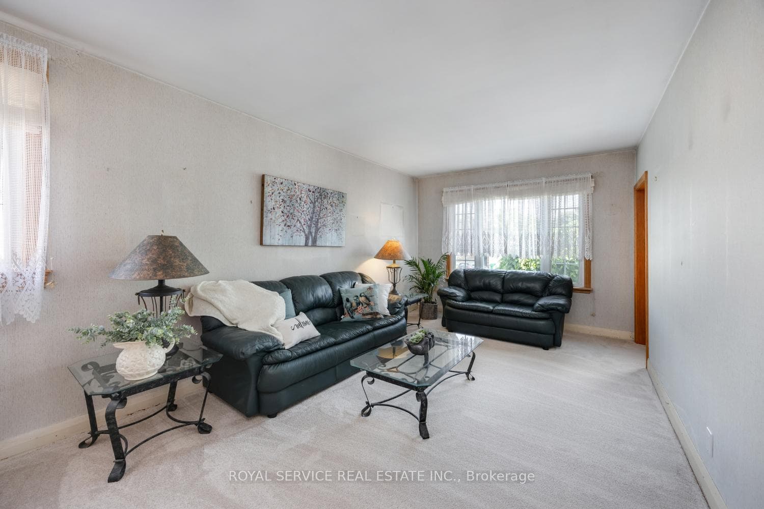 388 Dublin Street photo 15