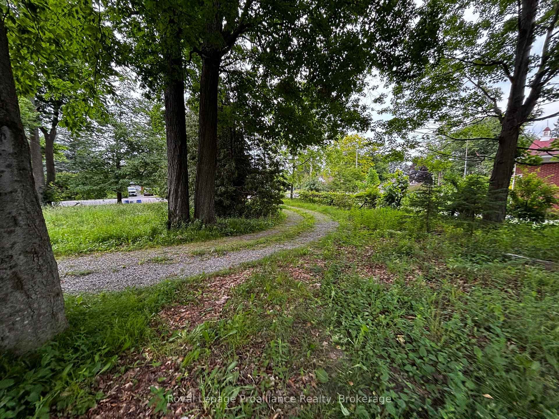 2683 Maplegrove Road photo 21