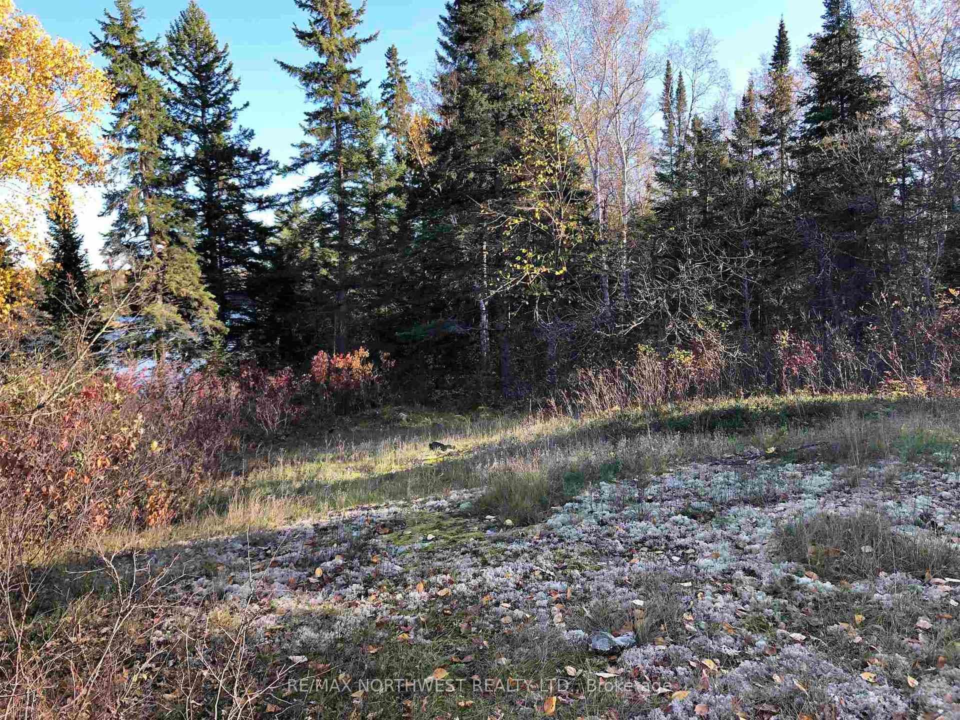 3,9 AND 10 DORION ISLAND LAKE OF THE WOODS photo 12