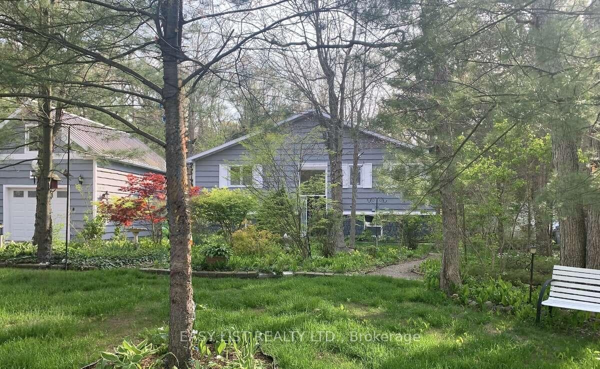10161 Andrea Street photo 3