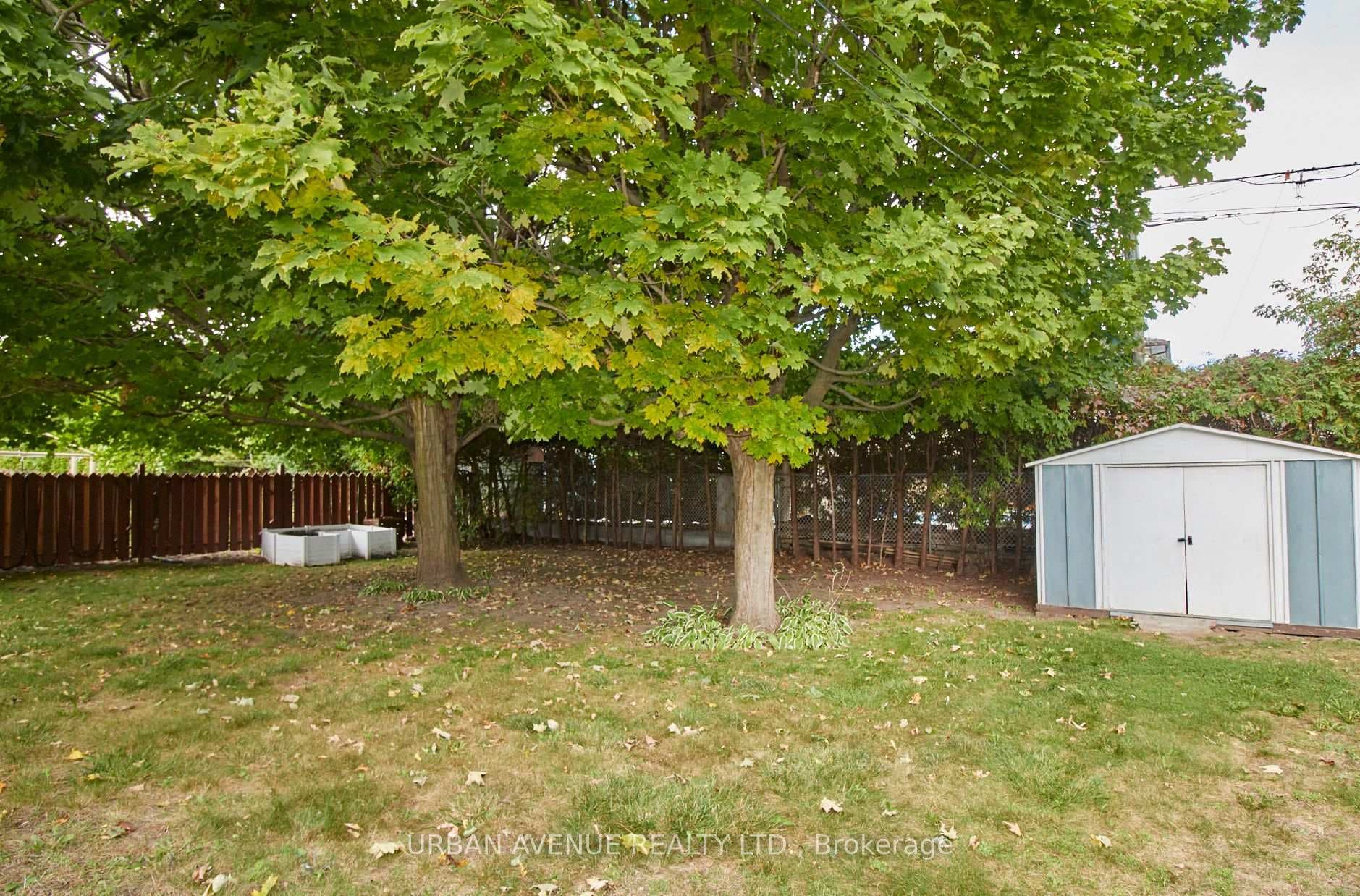 large rear yard