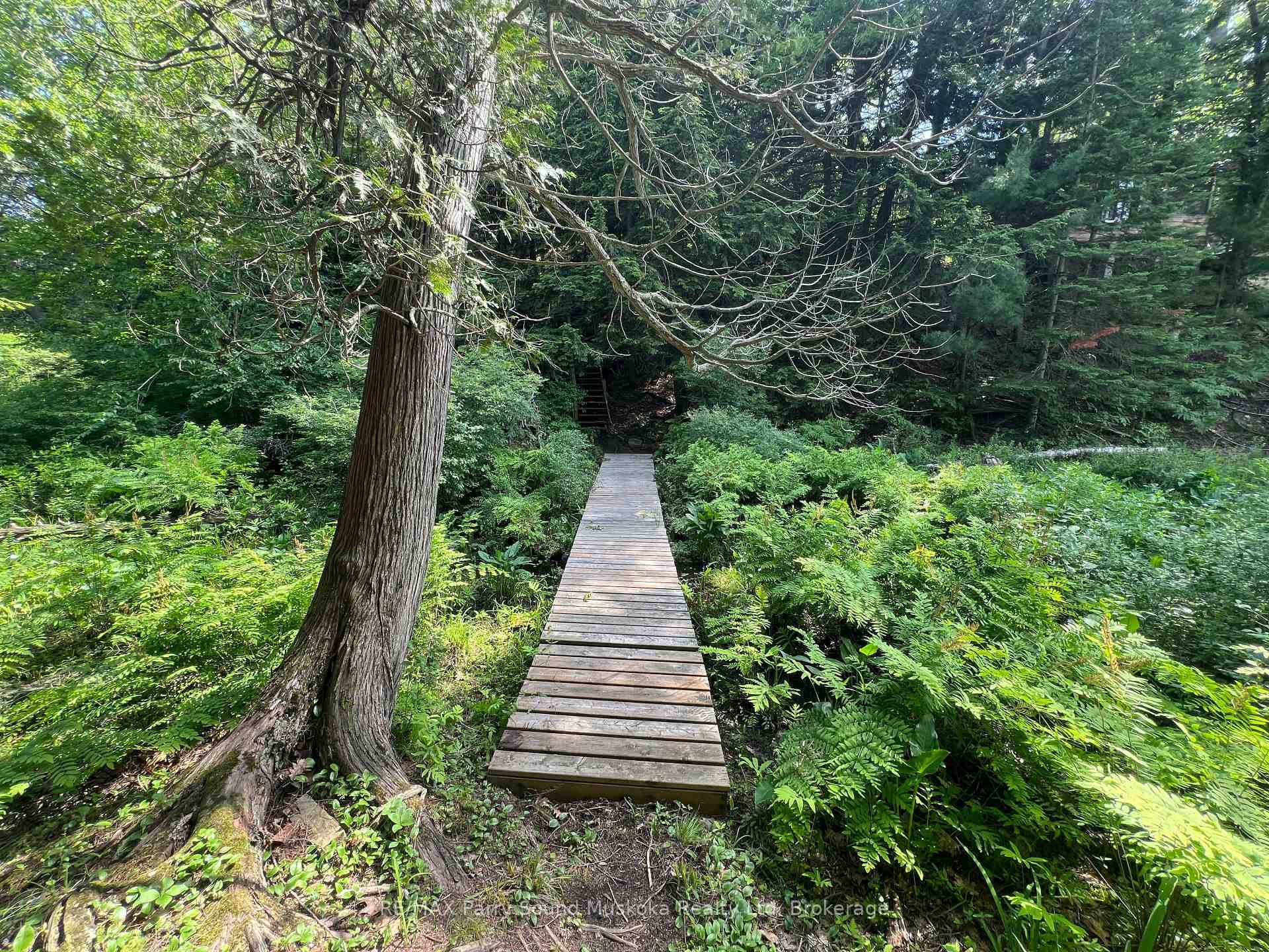 Wooden path to island
