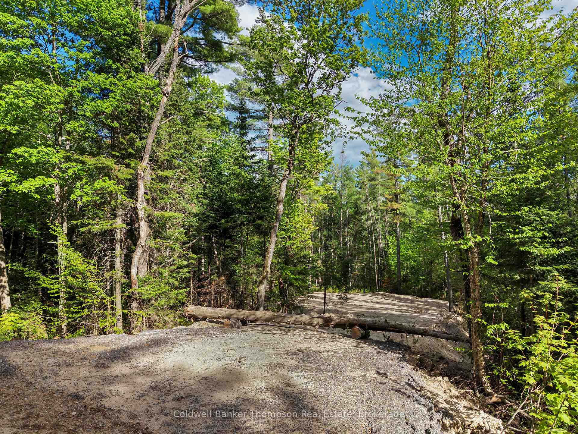 PART 6 AXE LAKE Road photo 8