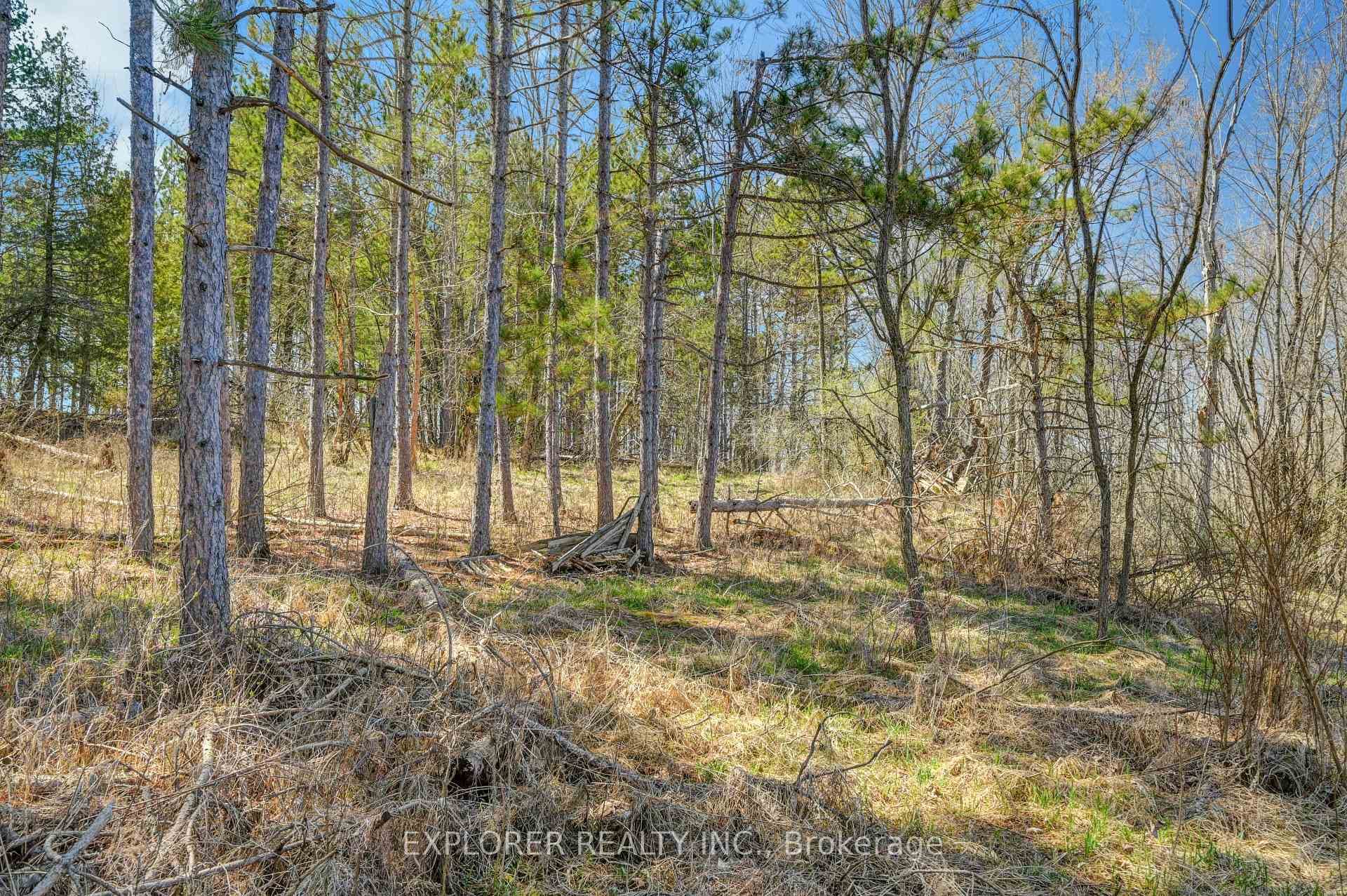 720 Rosetta Road photo 33