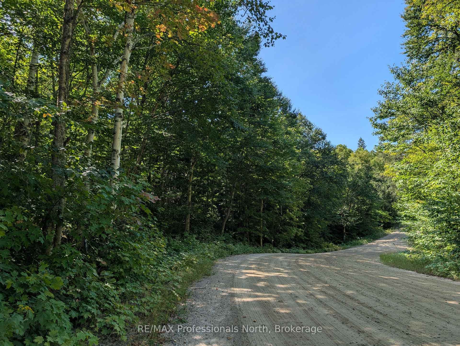 Road View