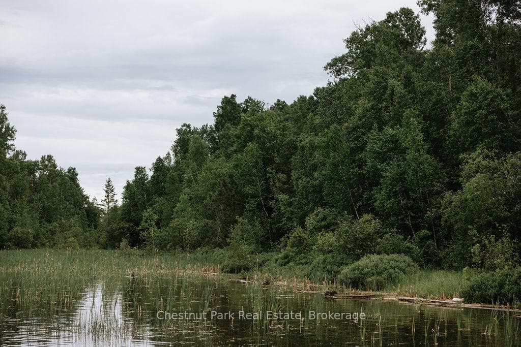 447 Fox Run photo 8