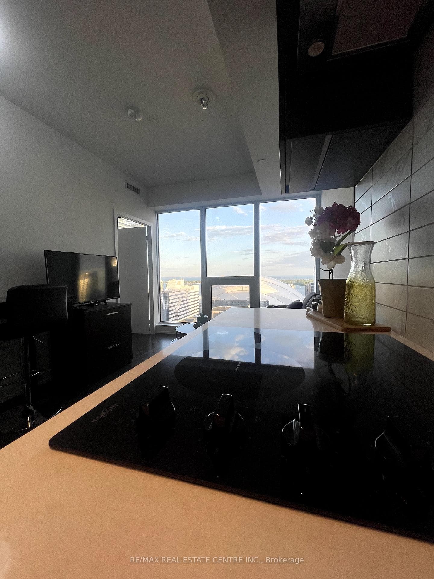 55 Mercer Street Unit 3001 photo 18