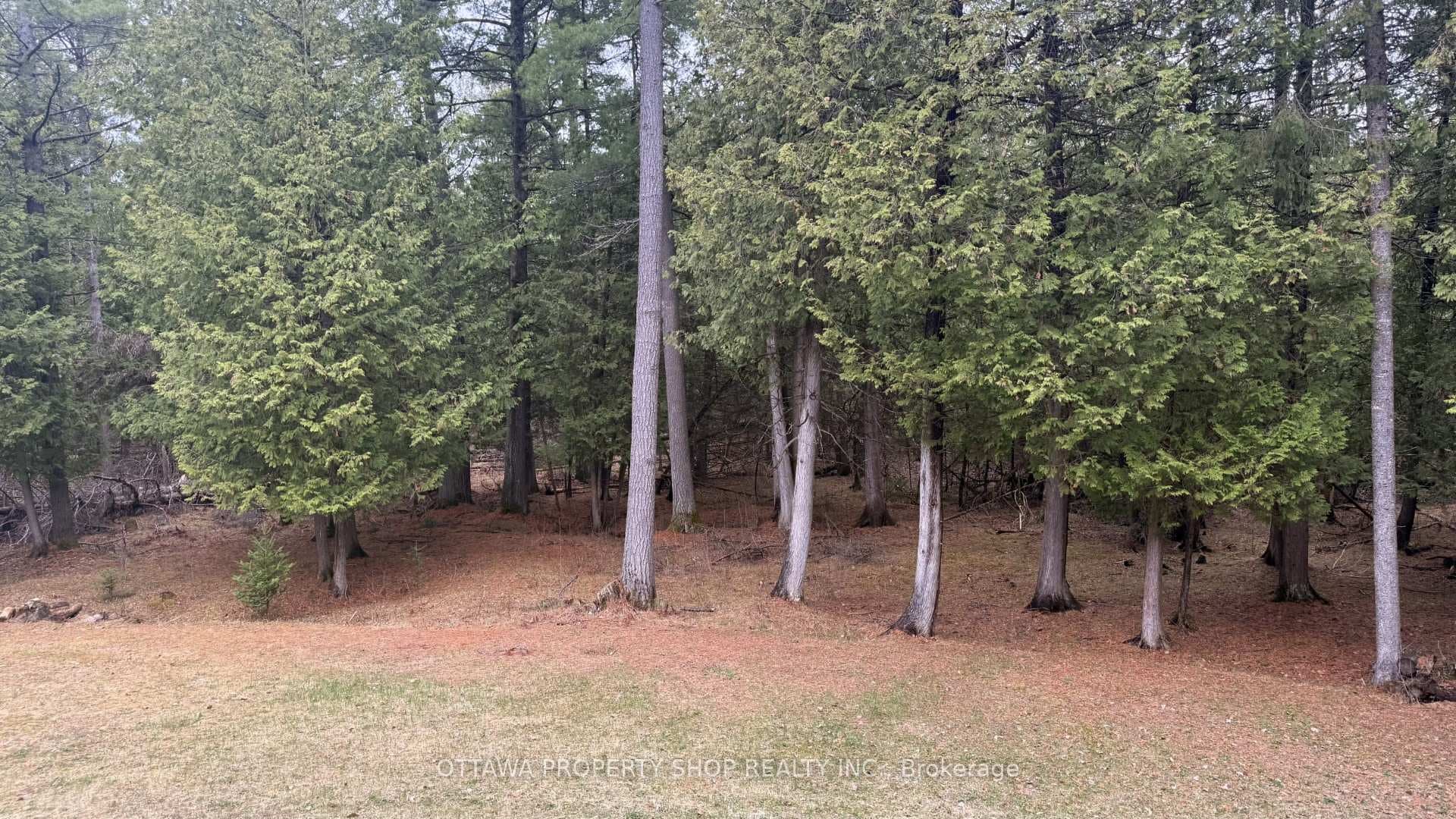 927 Spruce Ridge Road photo 23