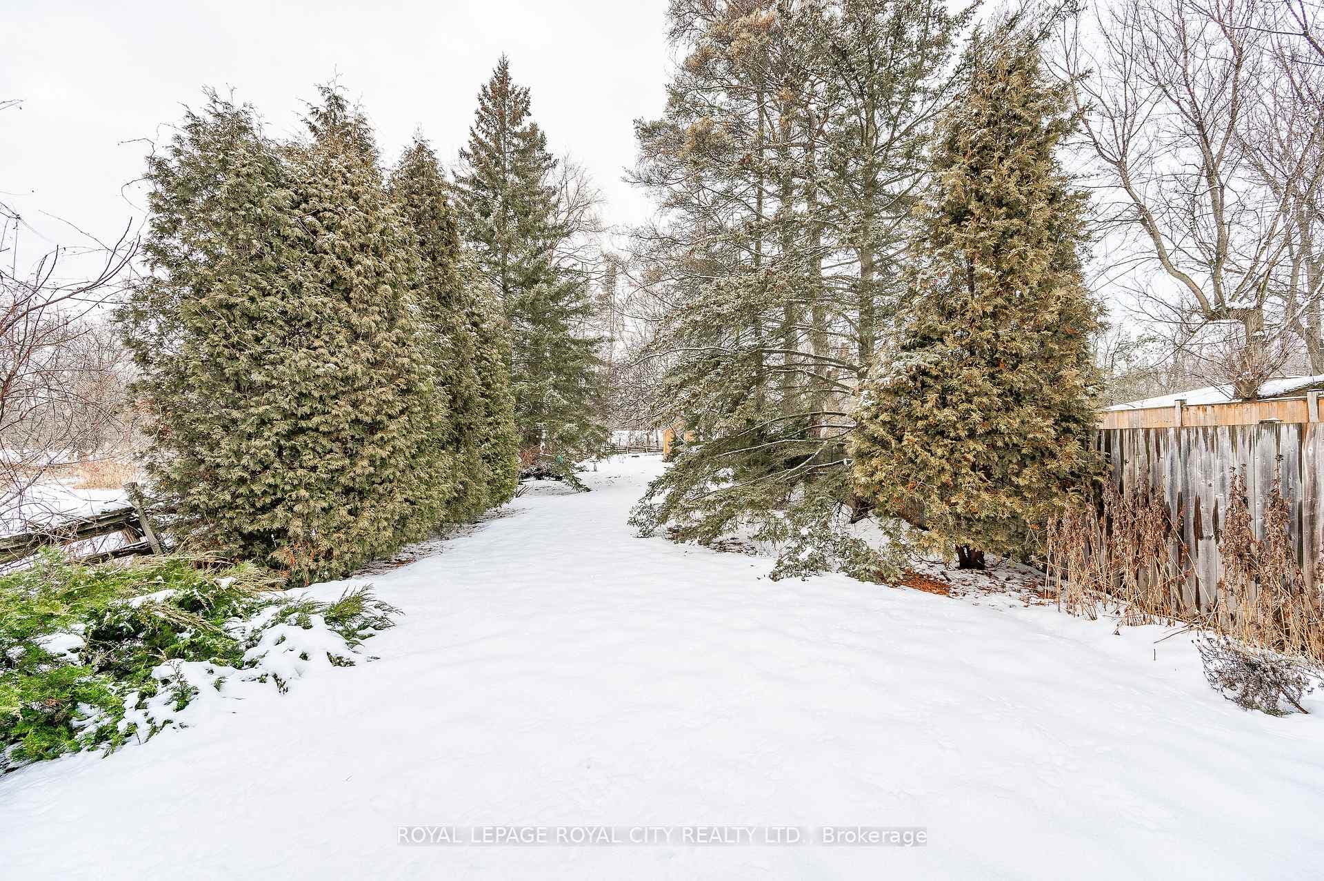 119 Bower Street photo 36