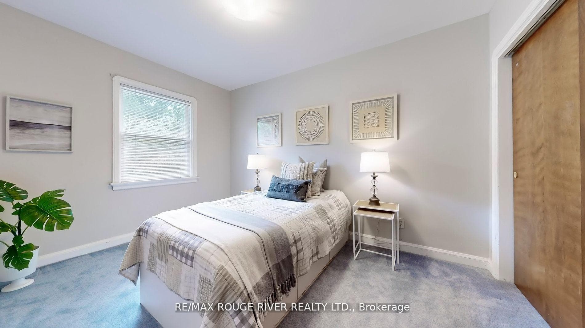441 Rouge Hills Drive photo 17