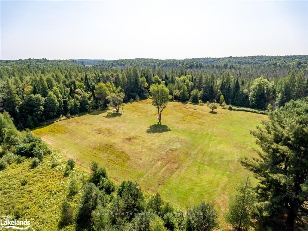 29 WOLF PAW Road photo 42