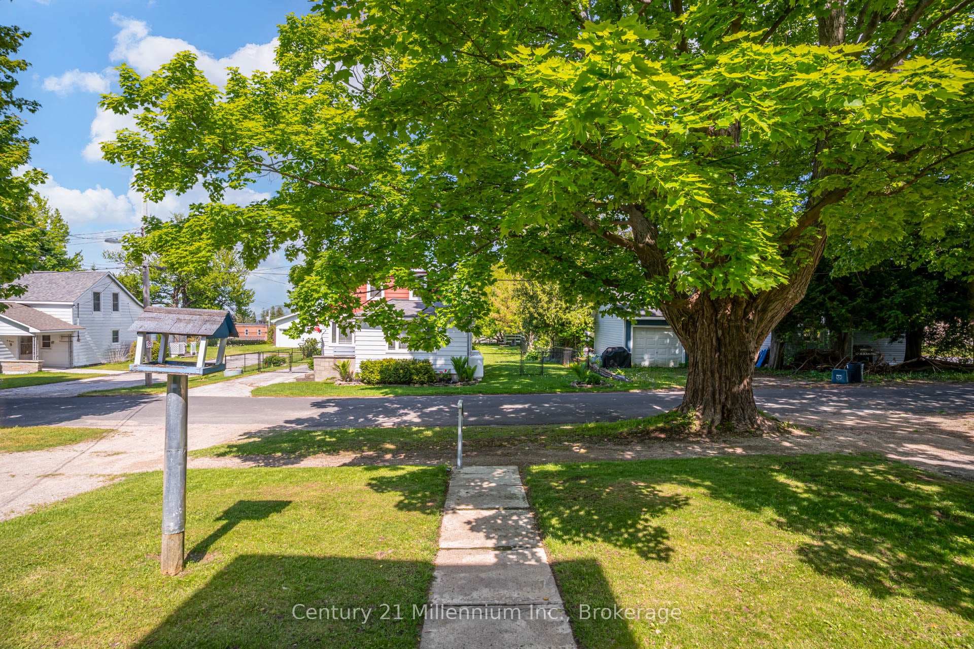 10 Alexander Street photo 48
