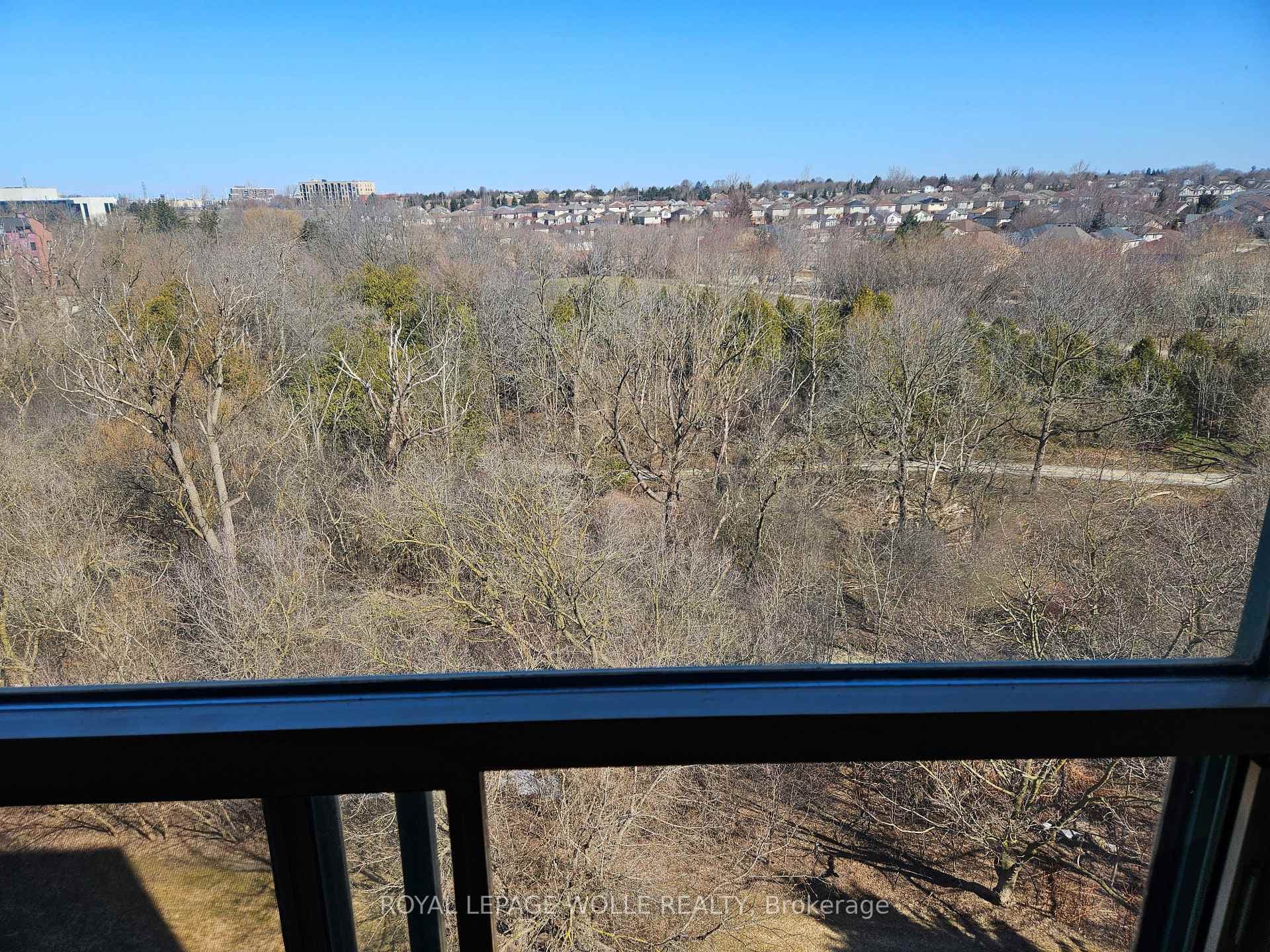55 Blue Springs Drive Unit 805 photo 13