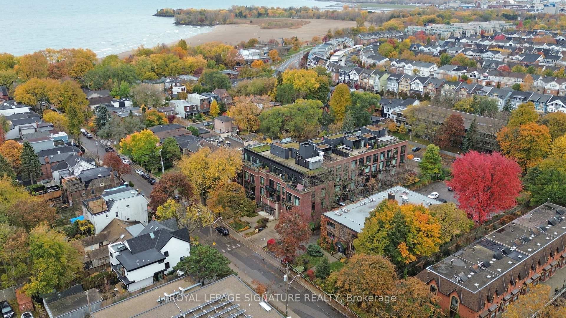 66 Kippendavie Avenue Unit 206 photo 43