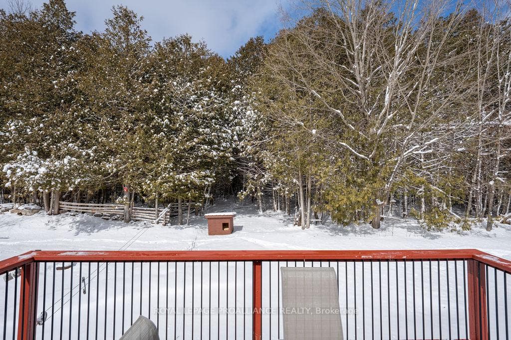 42 Springbrook Road photo 24