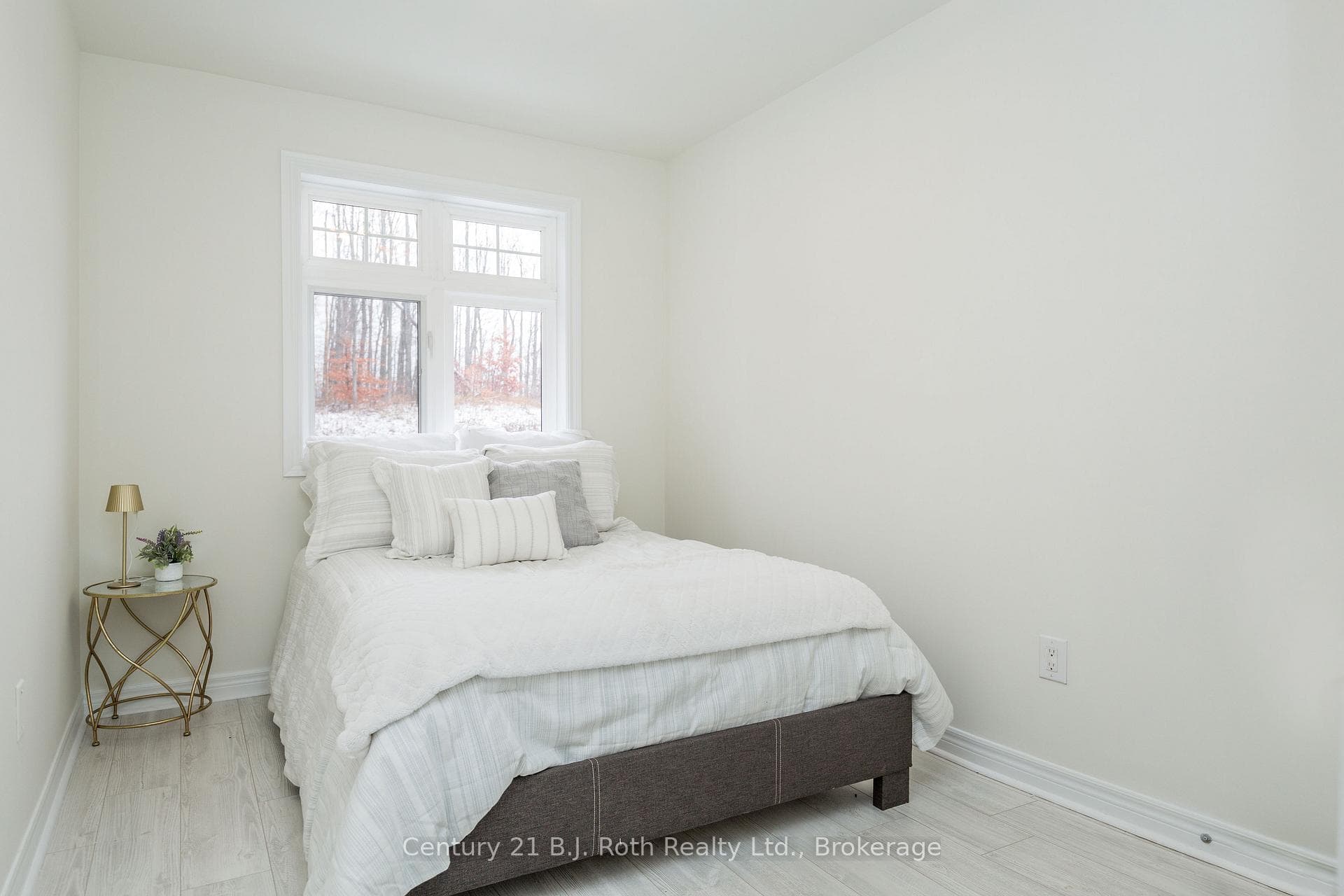 54 Isabella Drive photo 28
