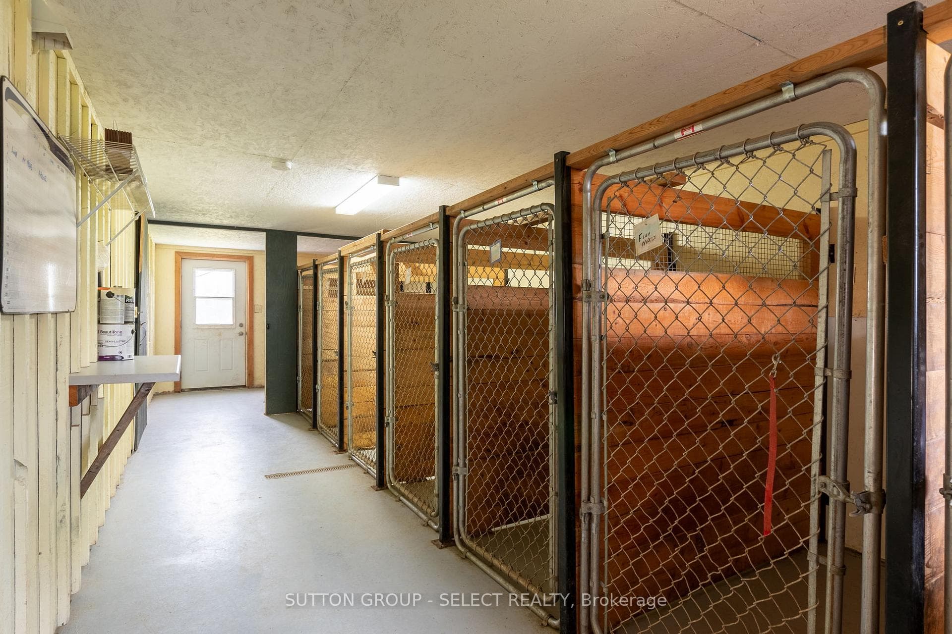 10086 Hedley Drive photo 43