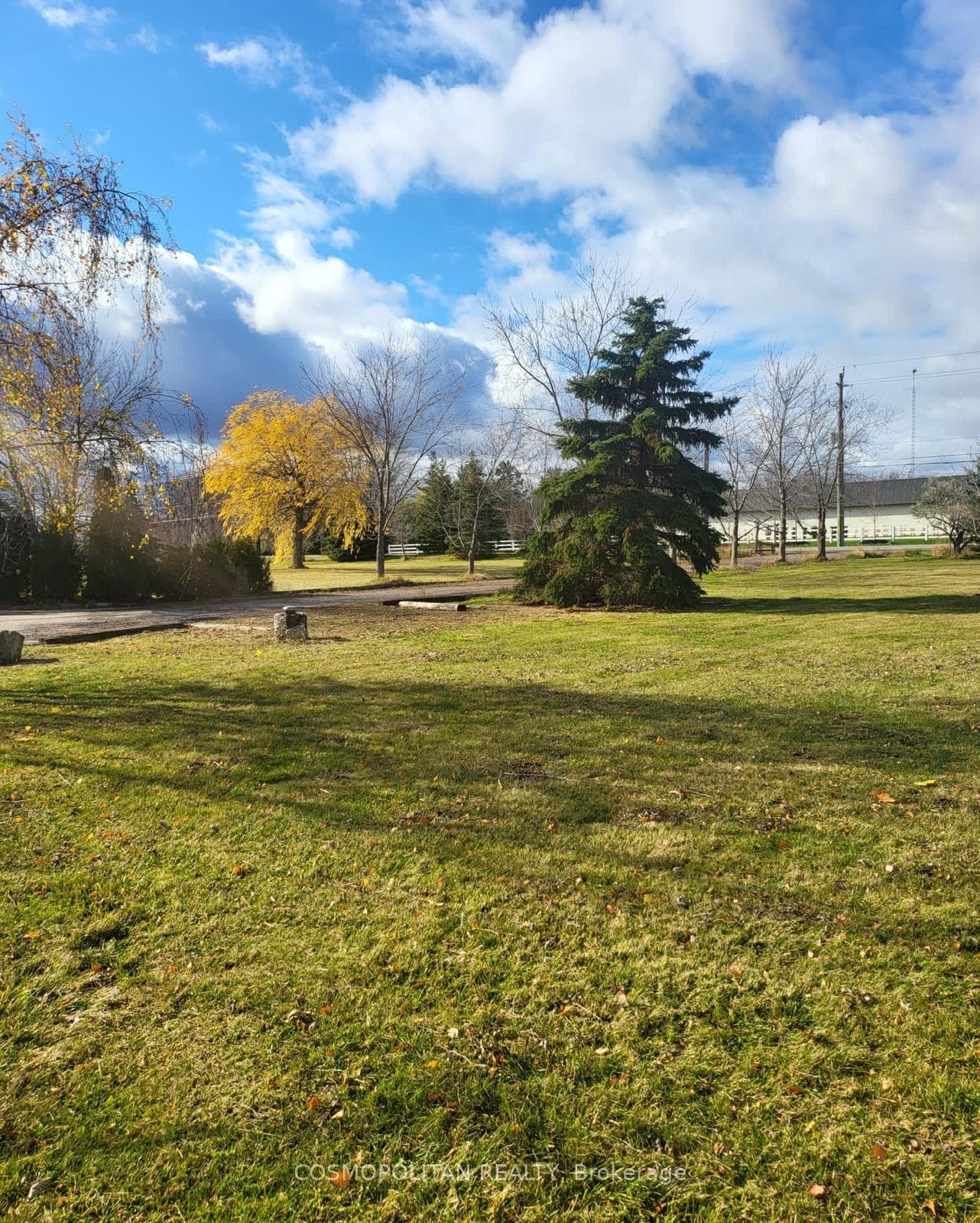 195 Woolverton Road photo 28