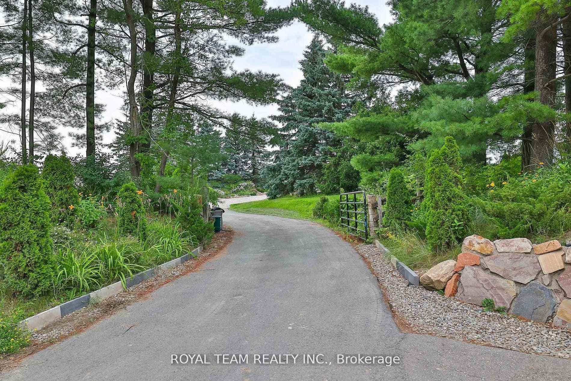 388303 20th Side Road photo 3