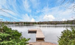 91 Gibson Bay Road photo 47