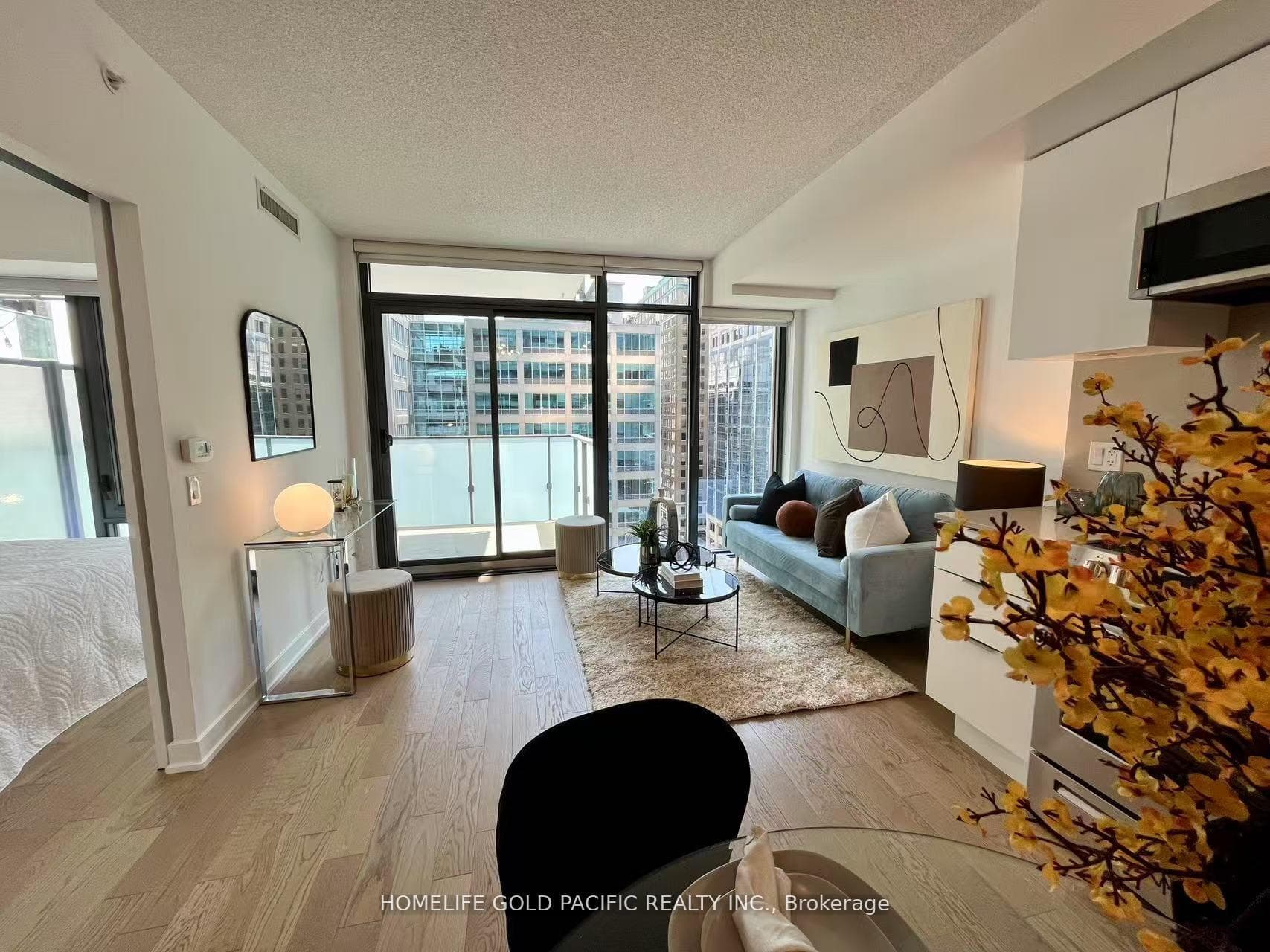 25 Richmond Street Unit 1009 photo 8