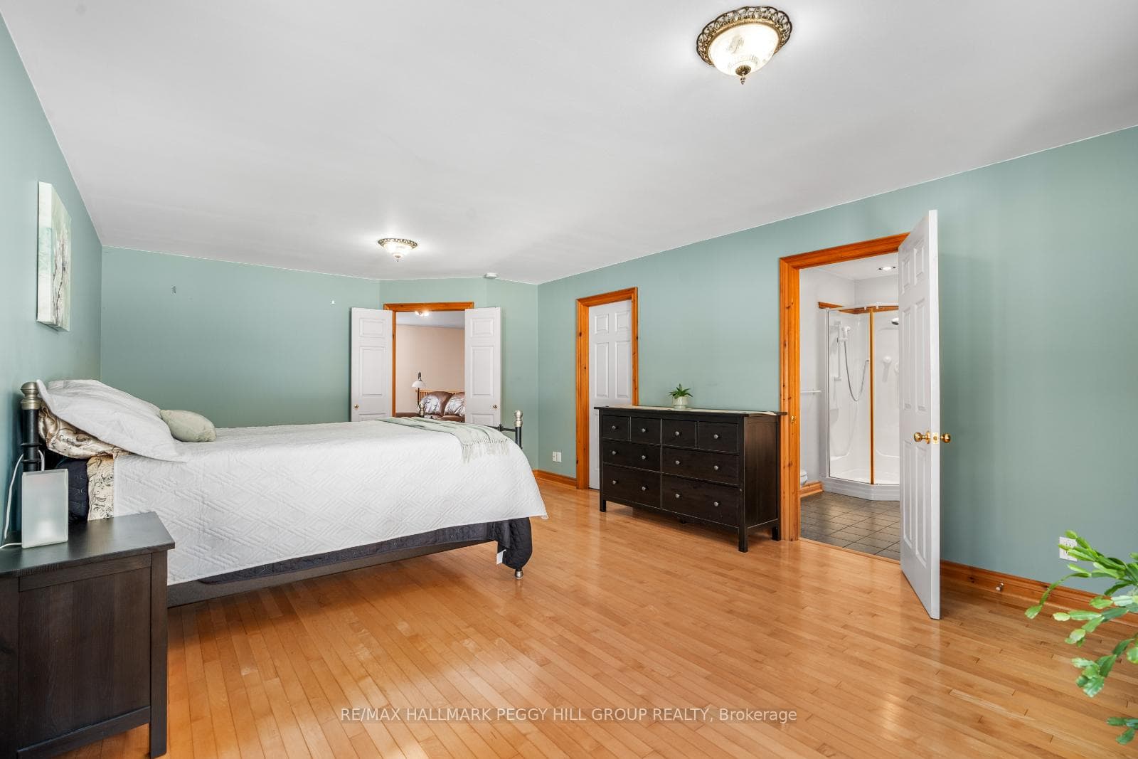 274 Peter Street photo 14