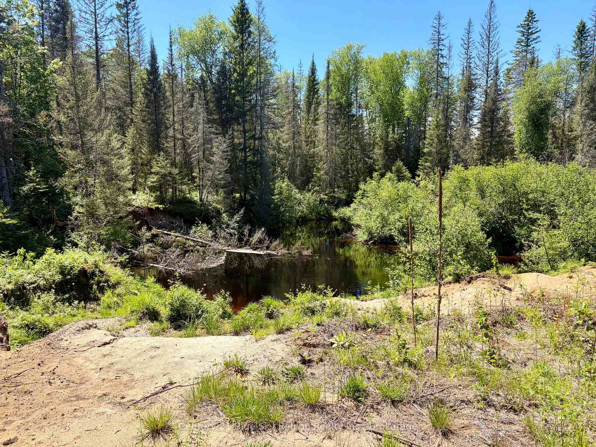 324 Proudfoot Road photo 5