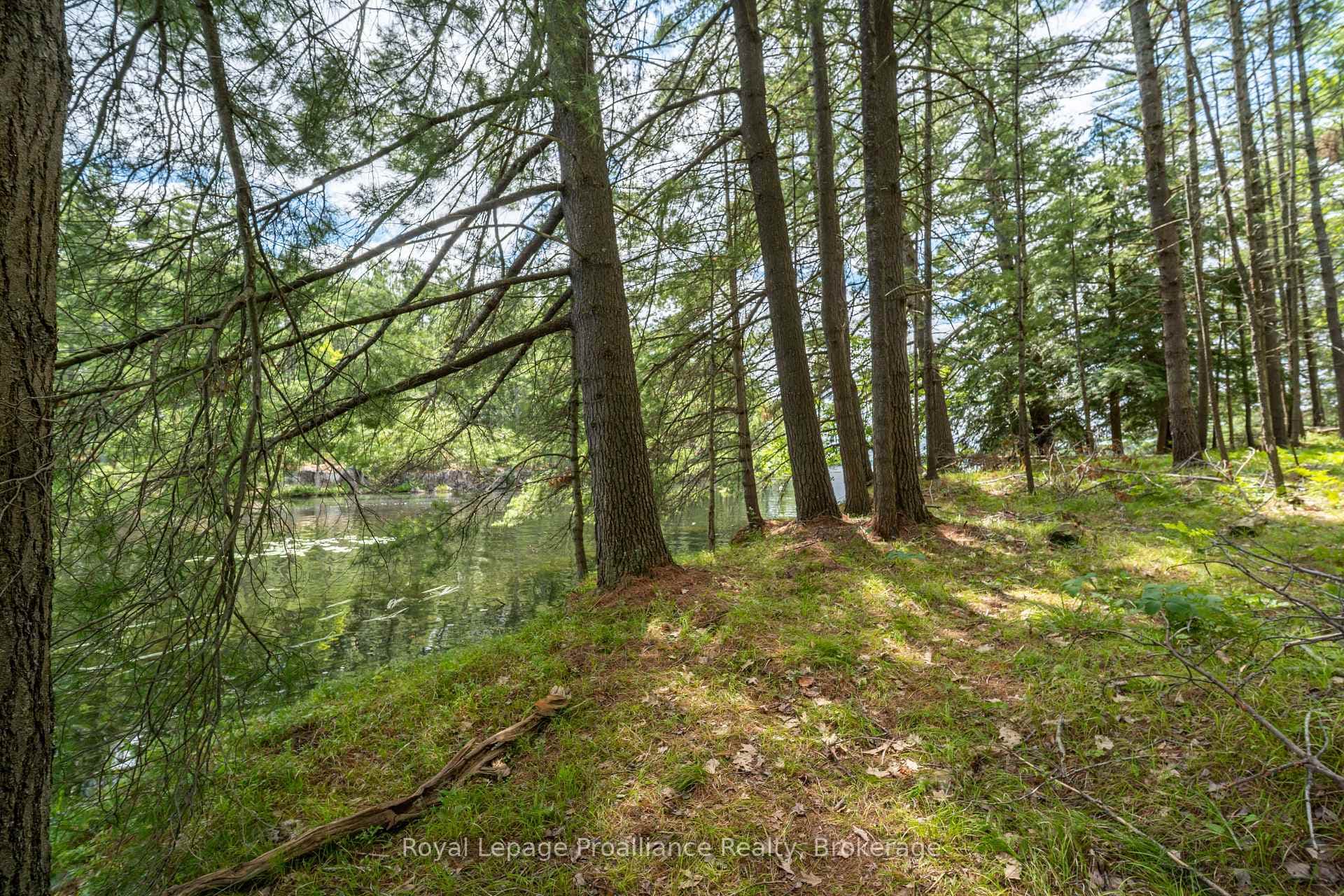 1 WAO Kasshabog Lake N/A photo 4