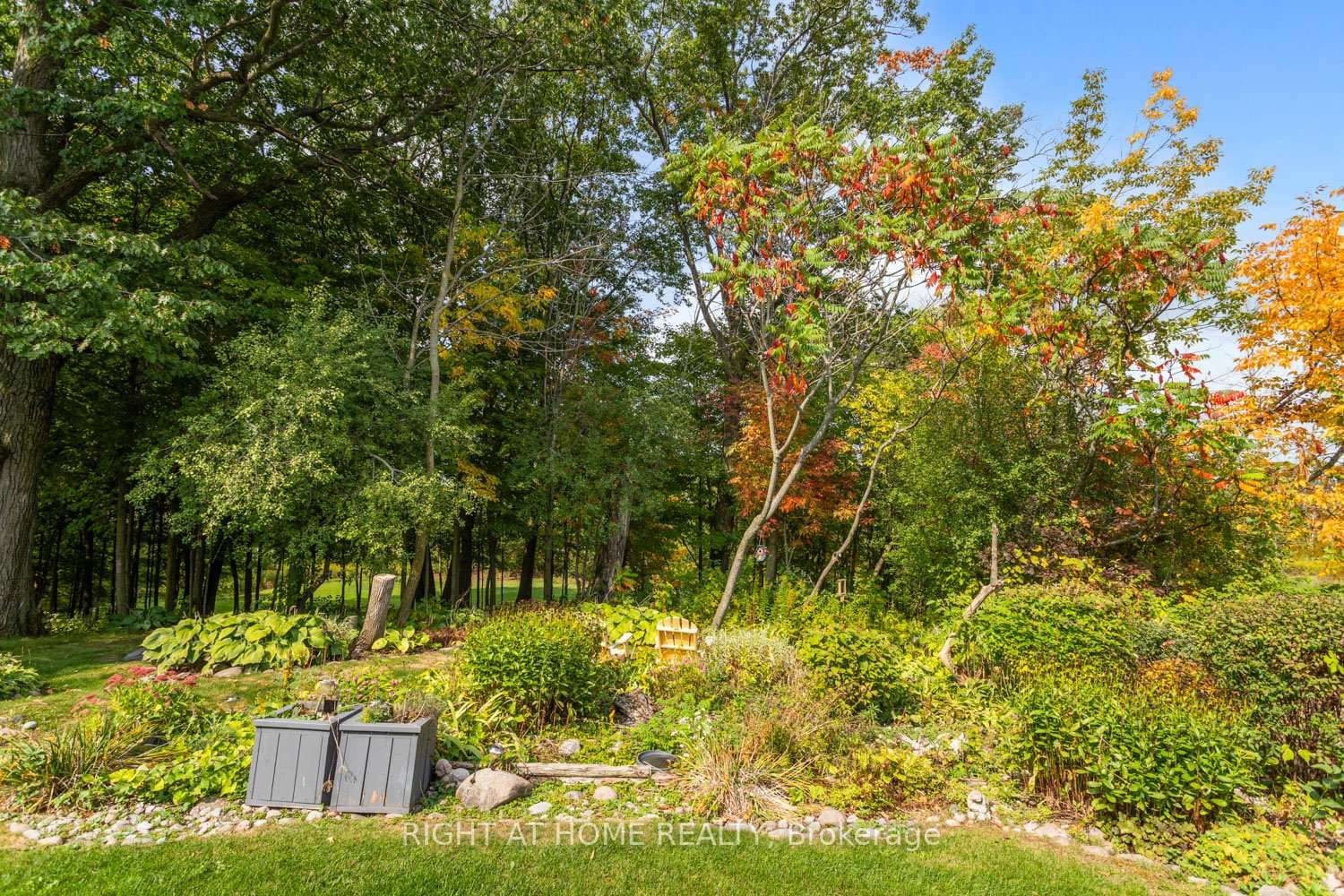 311 Waterbury Crescent photo 5
