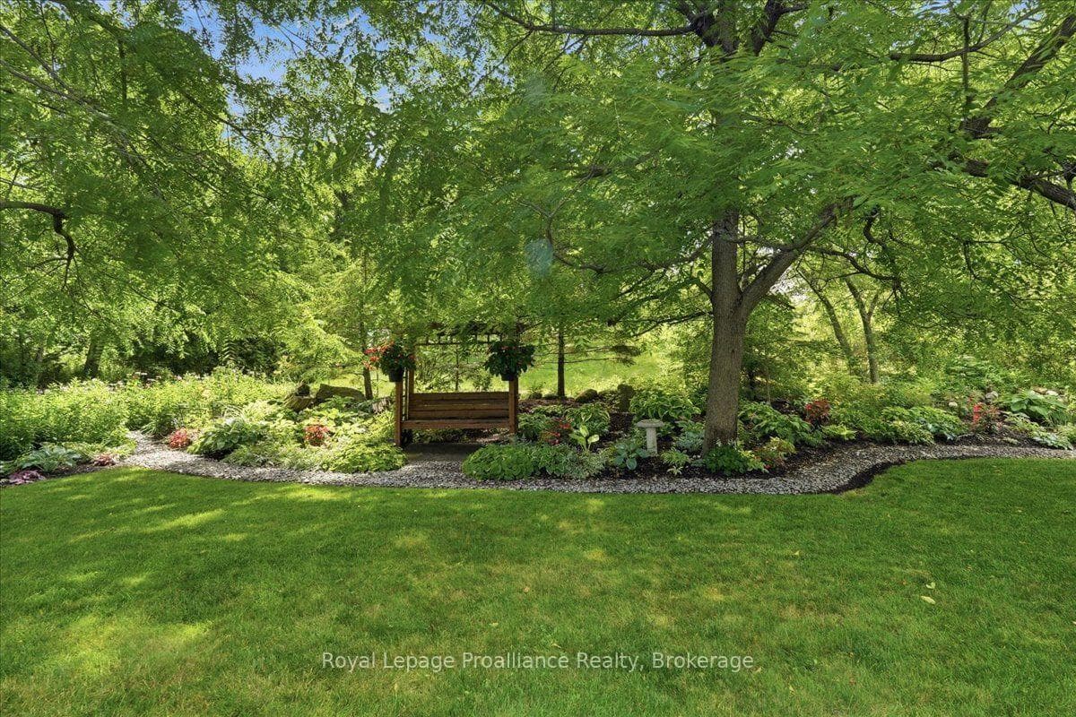 79 Duncan Street photo 35