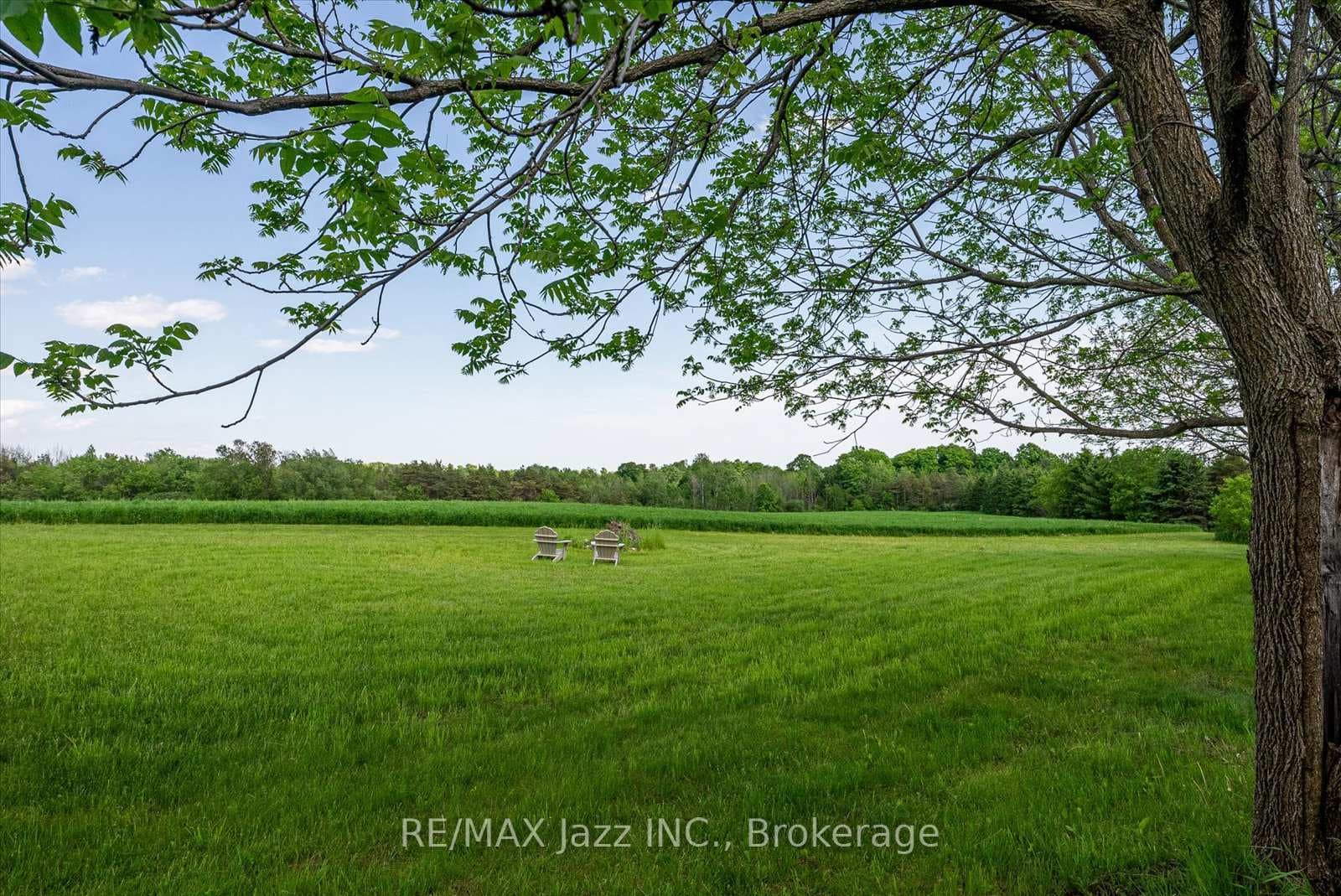 8733 Leskard Road photo 27