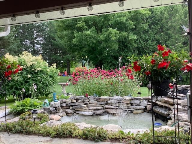 Pond and gardens