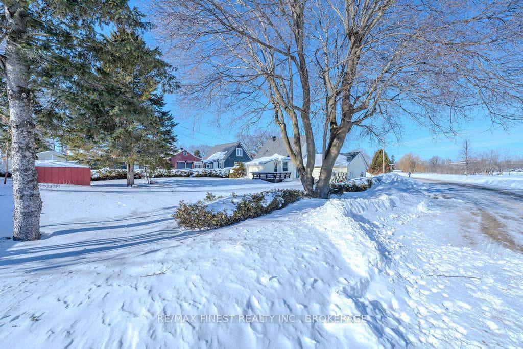 49 Beech Crescent photo 38