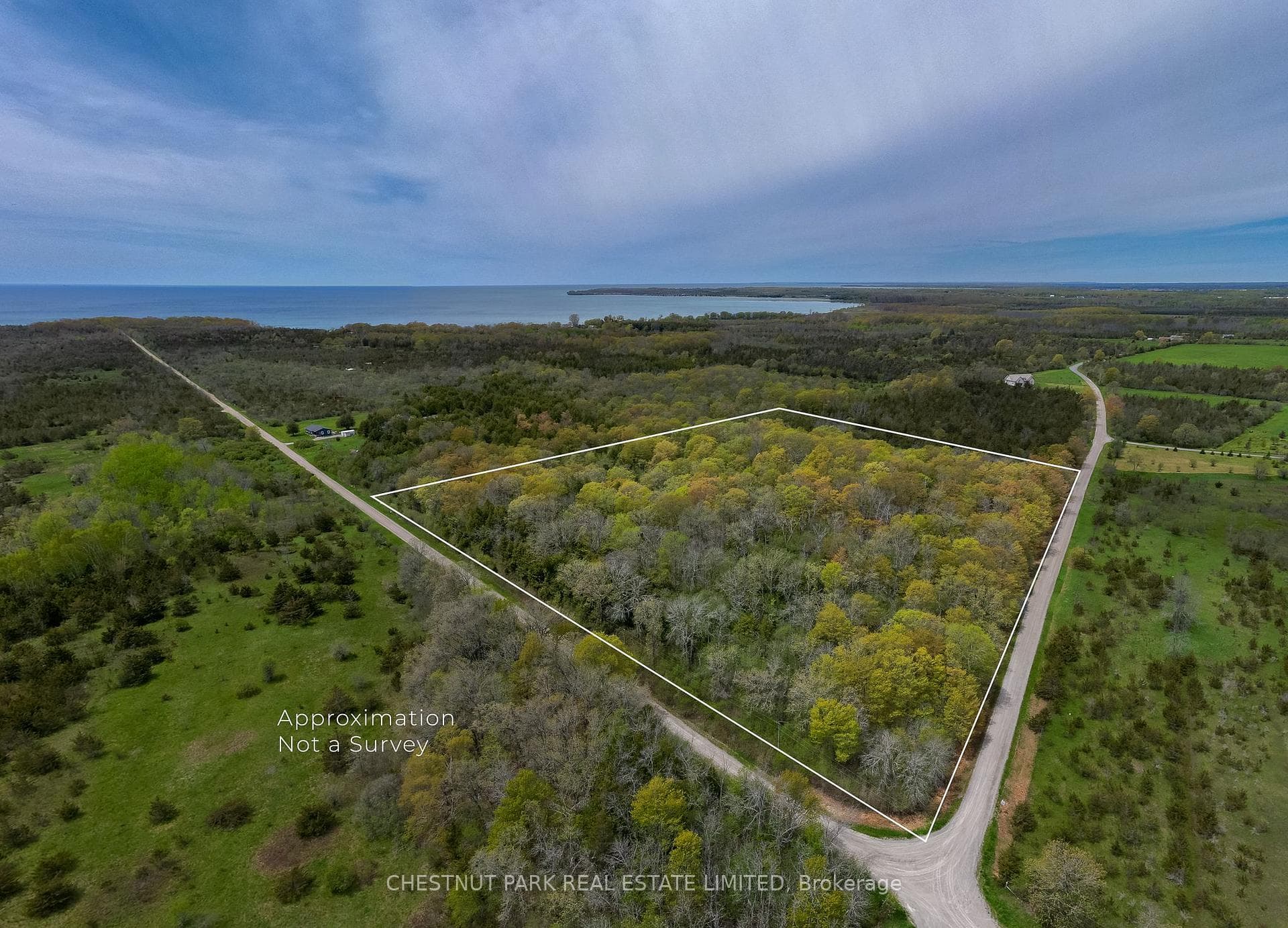 206 Simpson Road photo 3
