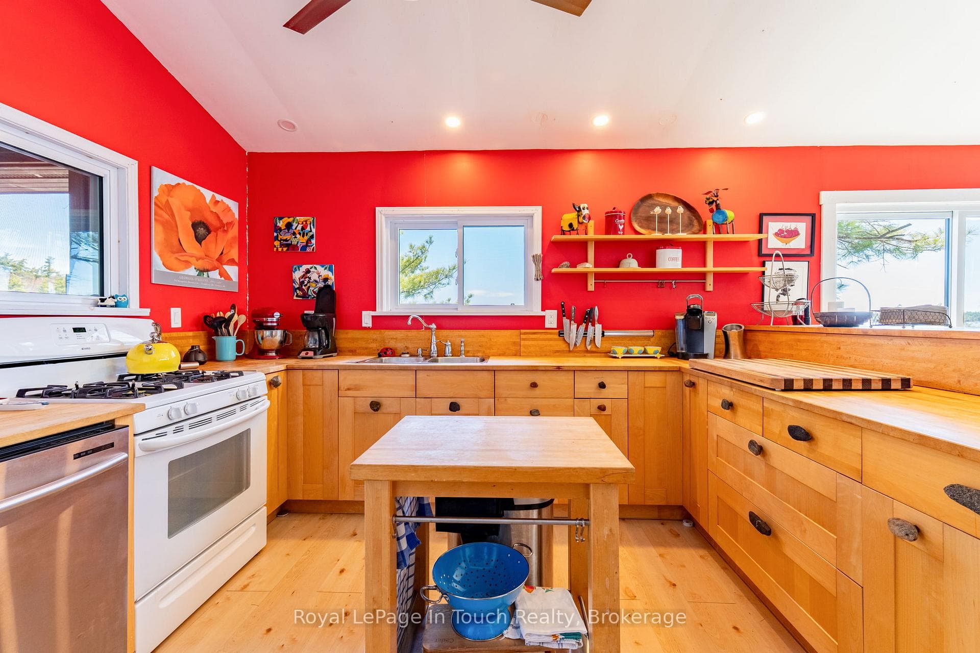 5 B202 Barnicke Island photo 16