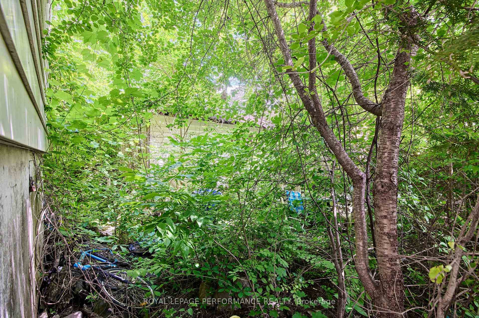 6 Ossington Avenue photo 3
