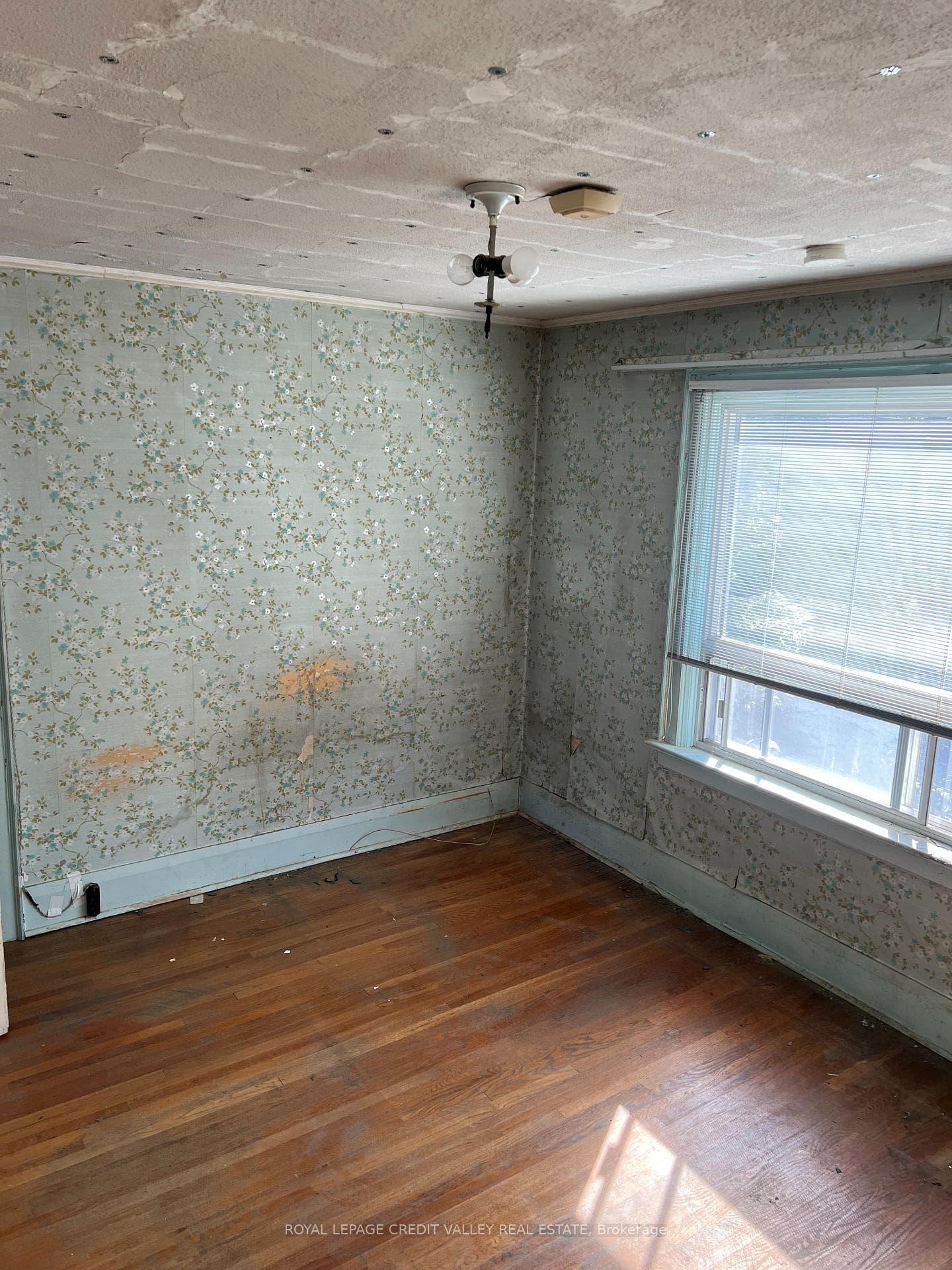 12 Stanhope Avenue photo 3