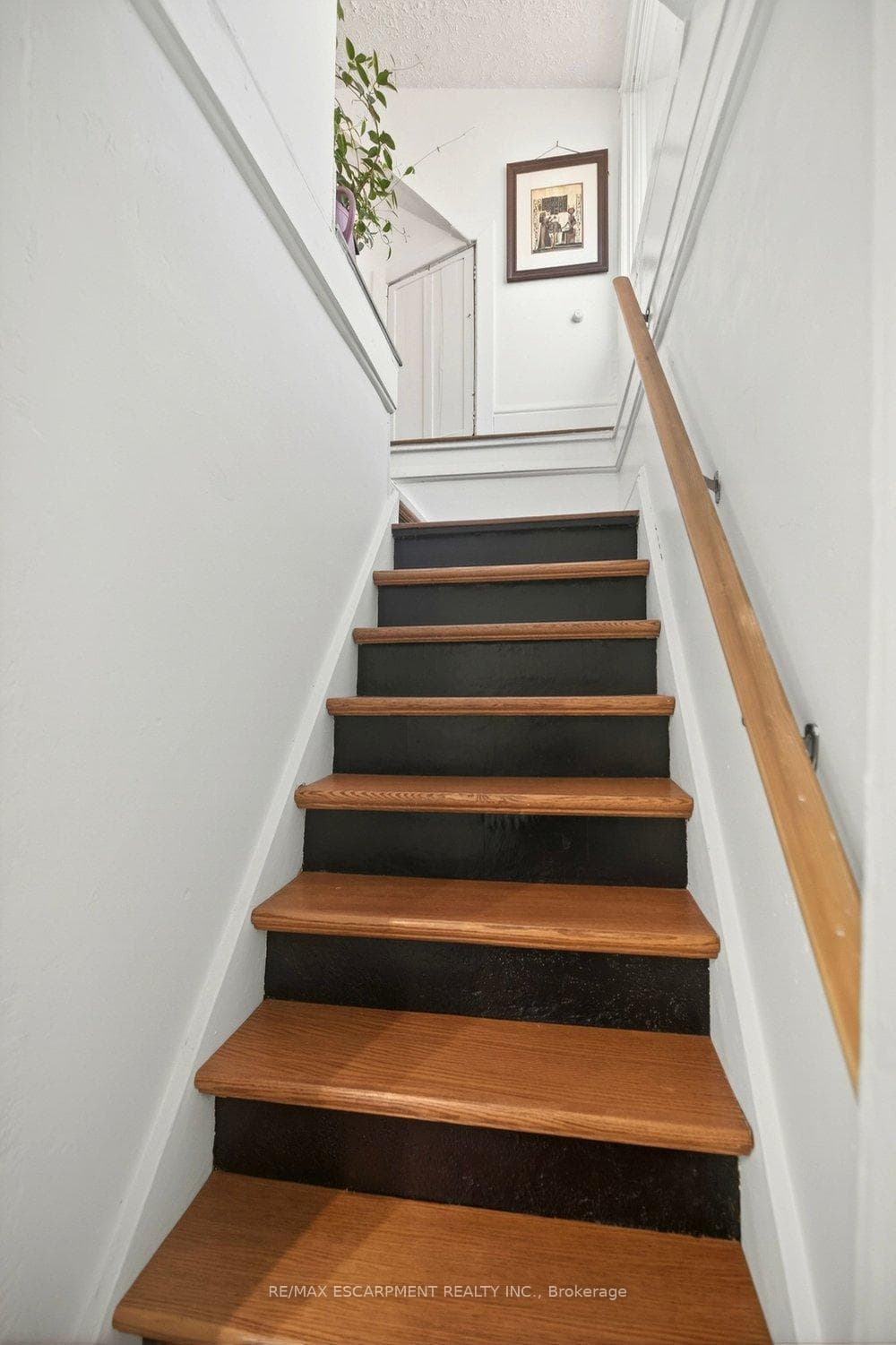49 Cheever Street photo 27
